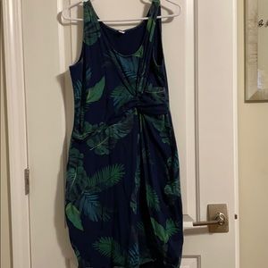 Old Nancy mid length dress